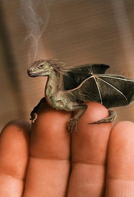 Dragon on my hand